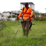 Gobierno de la Capital rescata la glorieta de la salida a Guadalajara tras crecimiento desmedido de maleza