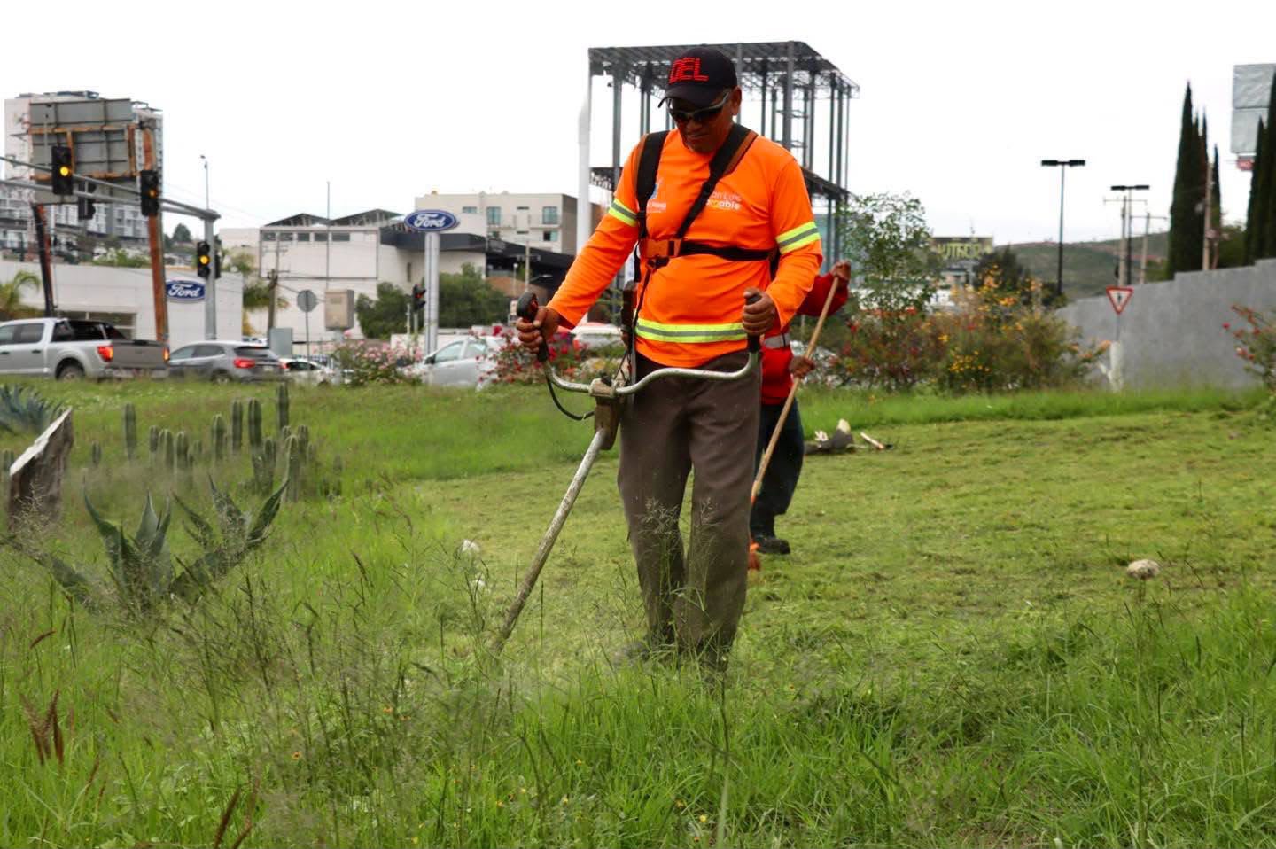 Gobierno de la Capital rescata la glorieta de la salida a Guadalajara tras crecimiento desmedido de maleza