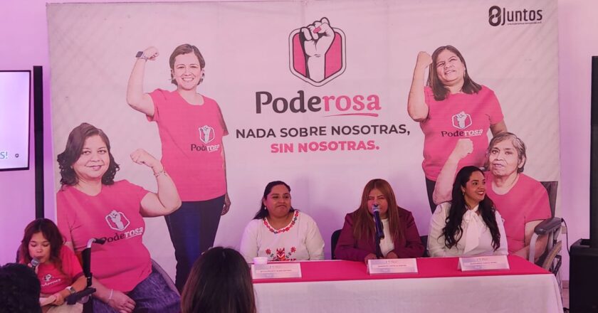 El activismo frente a las violencias que enfrentan las mujeres con discapacidad