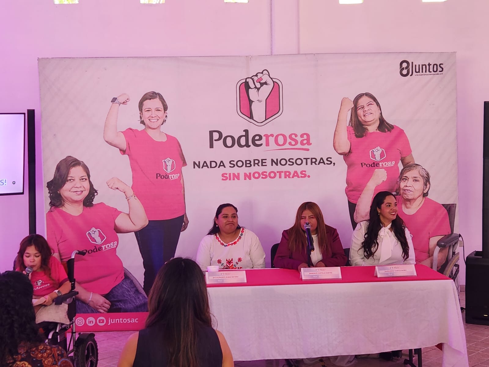 El activismo frente a las violencias que enfrentan las mujeres con discapacidad