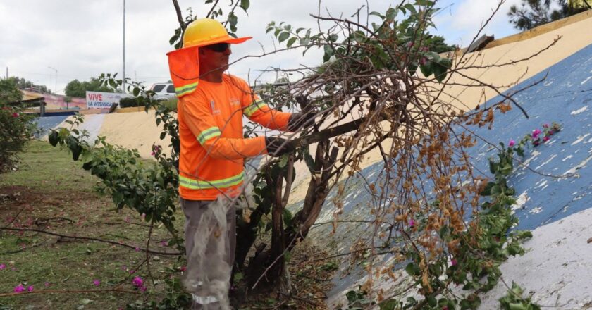 Gobierno de la Capital realiza labores de limpieza y mantenimiento en la Avenida Salvador Nava