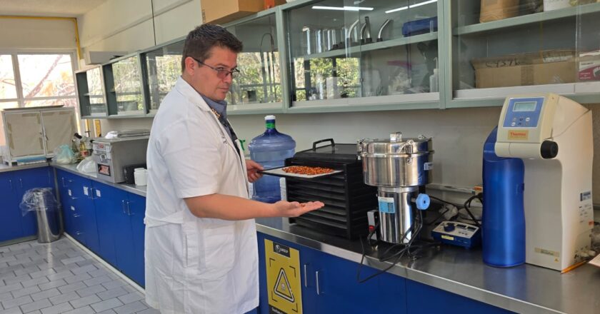 Investigación universitaria apuesta por darle un nuevo impulso a los productos potosinos