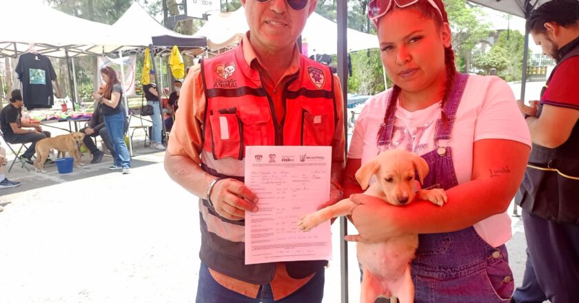 SSPC de la Capital realizará la 2ª Jornada de Adopción Responsable de Mascotas