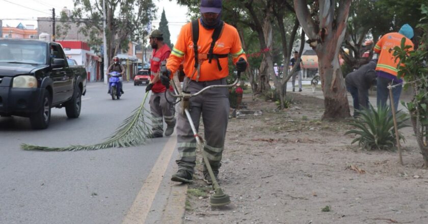 Gobierno de la Capital intensifica mantenimiento de vialidades y áreas verdes
