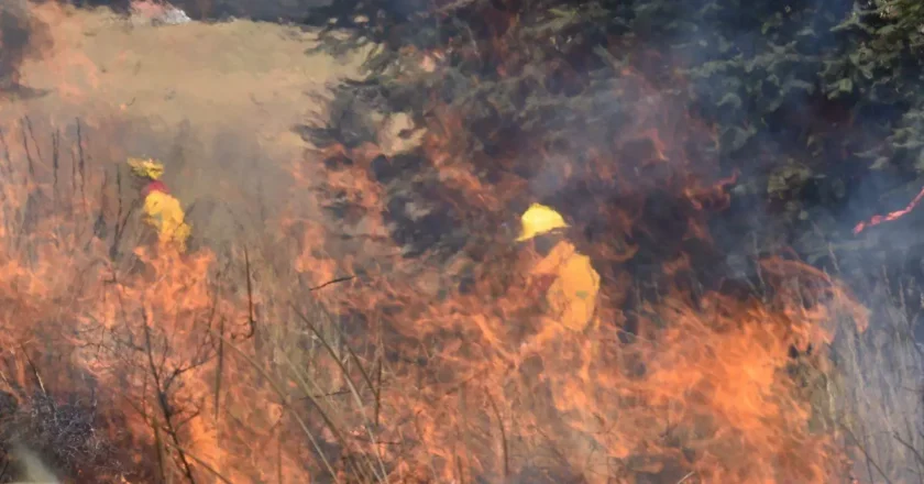 San Luis Potosí entre los estados más afectados por incendios forestales en el país