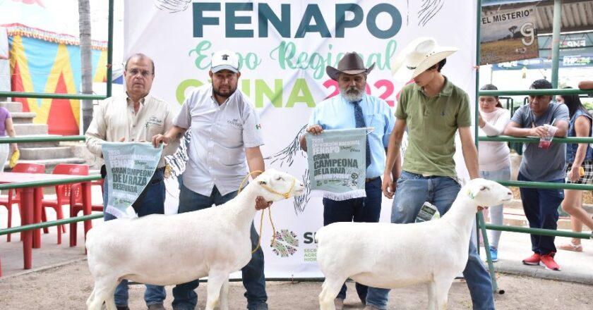 Fenapo 2026 alista “Tierra Ganadera”, escaparate para el sector agropecuario