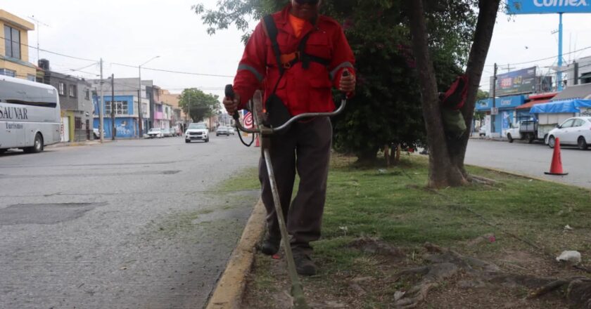 Realizan trabajos de mantenimiento en la Calzada de Guadalupe