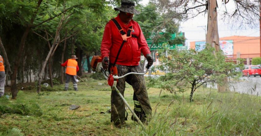 Gobierno de la Capital mantiene en óptimas condiciones la Avenida Salvador Nava