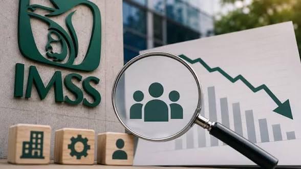 Disminuye número de patrones registrados ante el IMSS