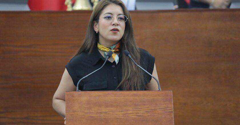 Proponen fortalecer la legislación forestal con enfoque de soluciones basadas en la naturaleza