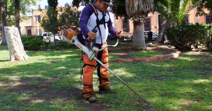 Gobierno de la Capital mantiene en óptimas condiciones el Jardín de San Miguelito