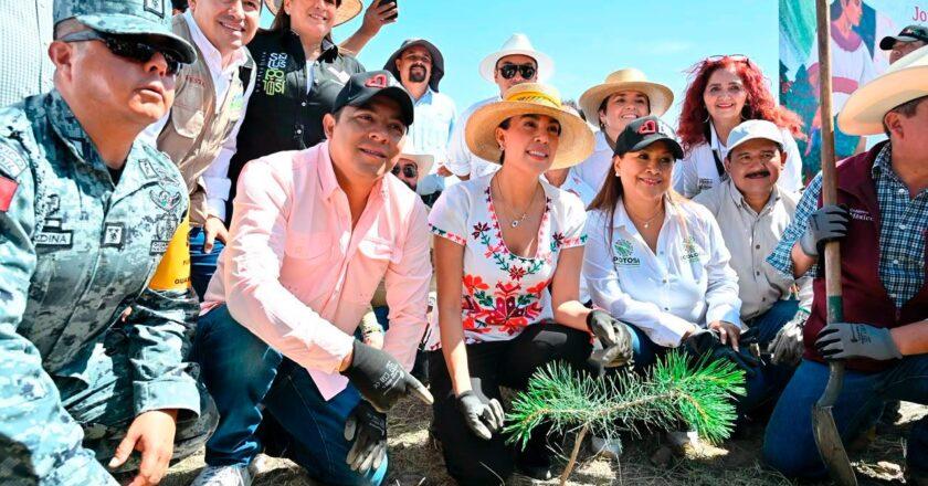 SLP refuerza reforestación de la Sierra de San Miguelito con jornada nacional
