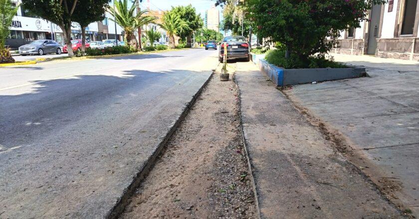 Interapas entra en etapa final de rehabilitación sanitaria en avenida Carranza