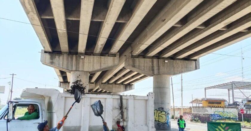 Dan mantenimiento en más de 15 kilómetros del Circuito Potosí para evitar afectaciones viales Subtítulo: