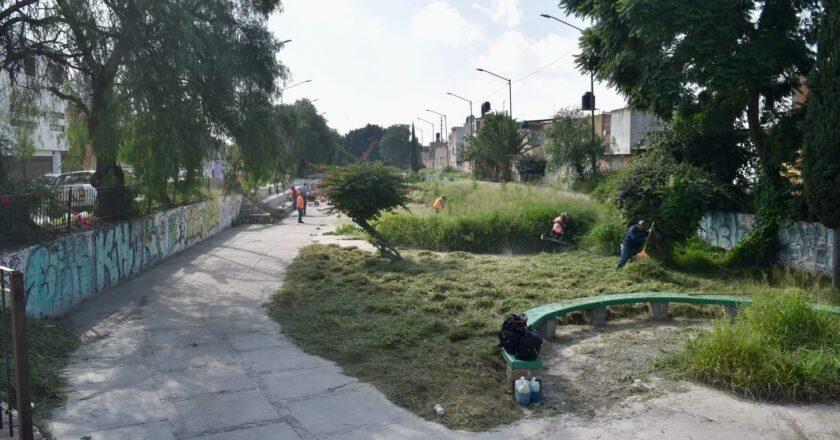 Limpian y rehabilitan áreas verdes del bulevar Jacobo Payán