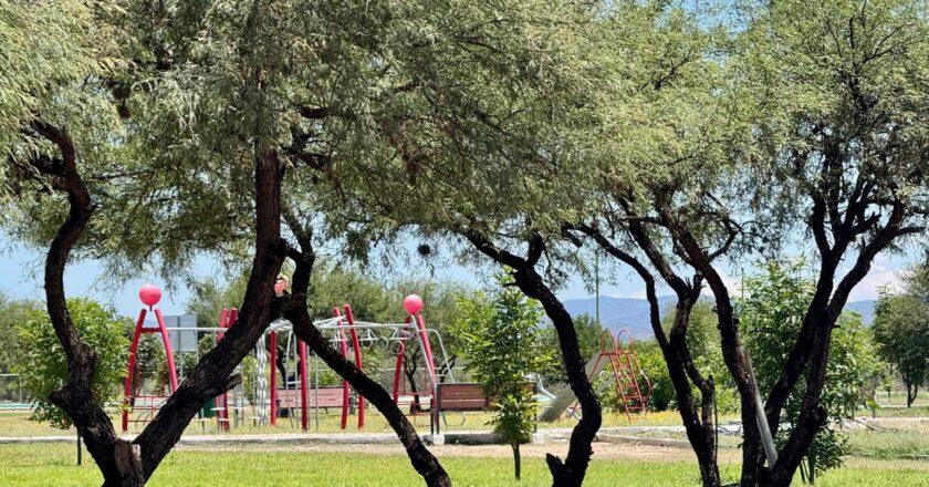 Gobierno estatal prepara mejoras para el parque Las Camelias en Matehuala