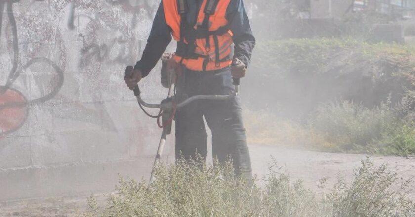 Gobierno de la Capital recupera terreno usado como tiradero en Vergel de las Flores