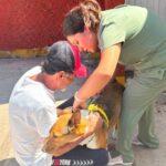 Más de 110 perros y gatos reciben atención durante jornada de Bienestar Animal
