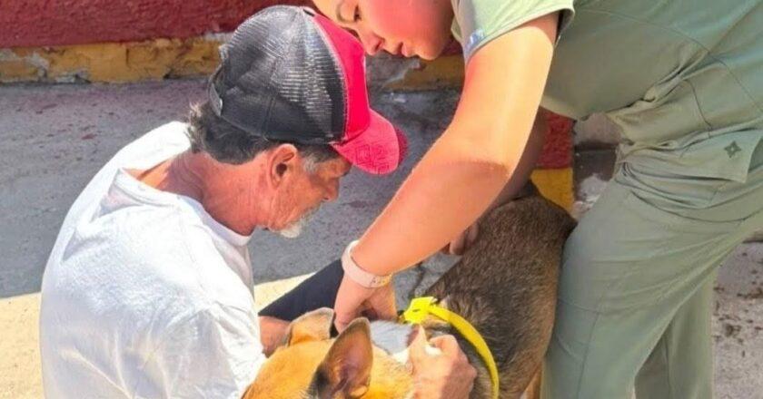 Más de 110 perros y gatos reciben atención durante jornada de Bienestar Animal