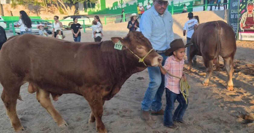Sedarh anuncia 13 millones de pesos para productores ganaderos de la Huasteca