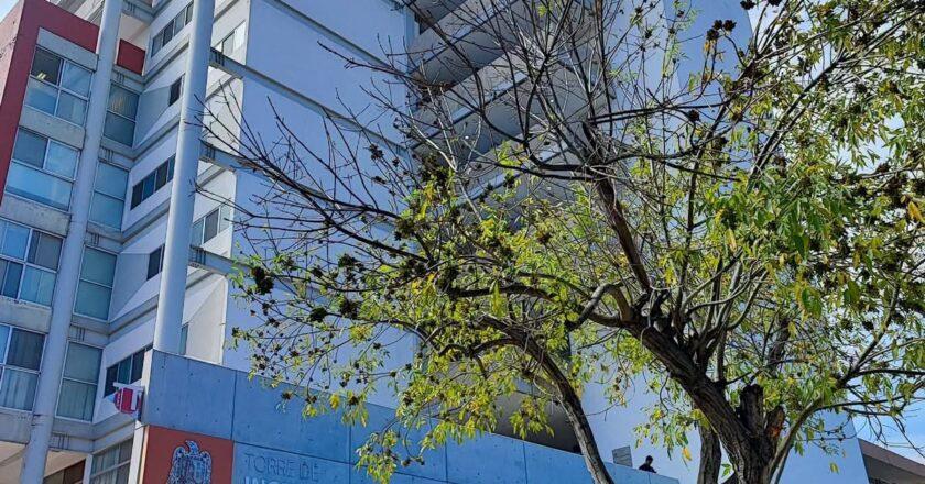 Estudiantes exigen protocolos de salud mental en UASLP 