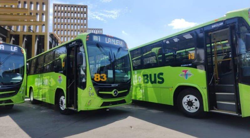 Capacitan a nuevos operadores para incorporarse al transporte urbano