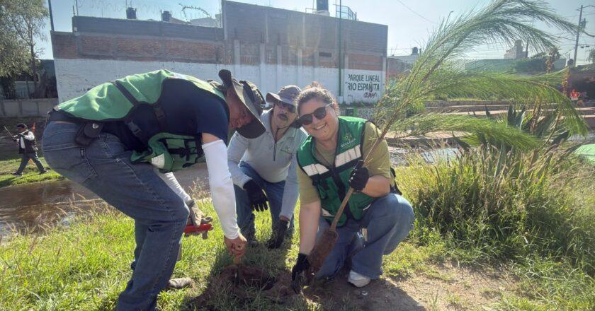 Reforestan Río Españita y Puerto Espino con 600 ejemplares