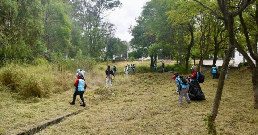 Brigadas municipales limpian zonas con maleza y desechos en SLP