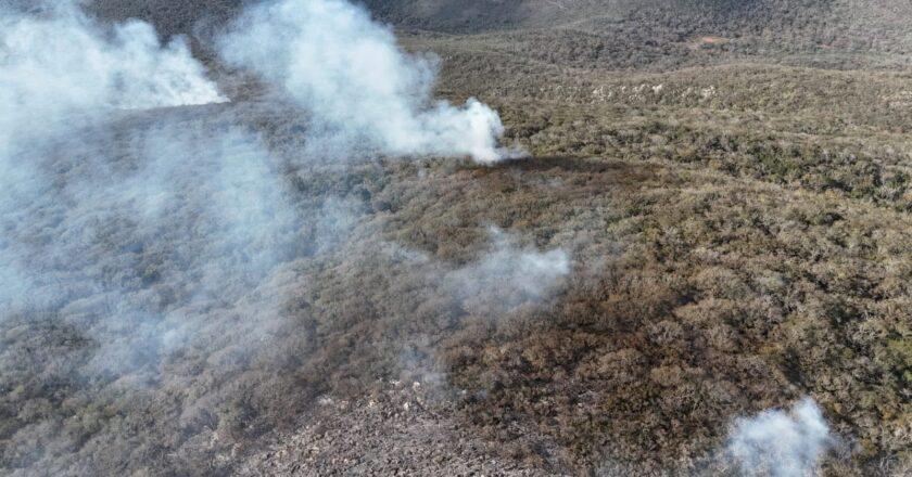 SLP destina 59.5 millones de pesos a prevención y combate de incendios forestales