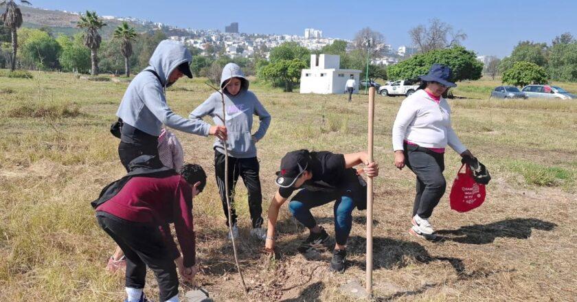 Reforestan más de 40 hectáreas en parques Tangamanga y distribuyen miles de árboles en SLP