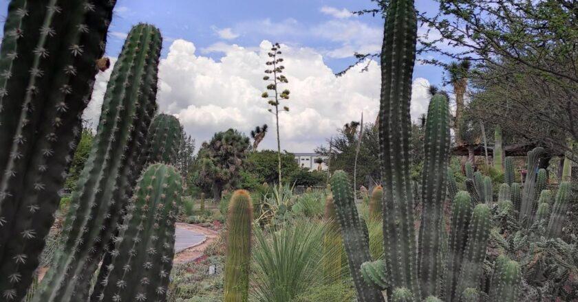 Jardín Botánico El Izotal prepara Festival de Otoño con actividades familiares