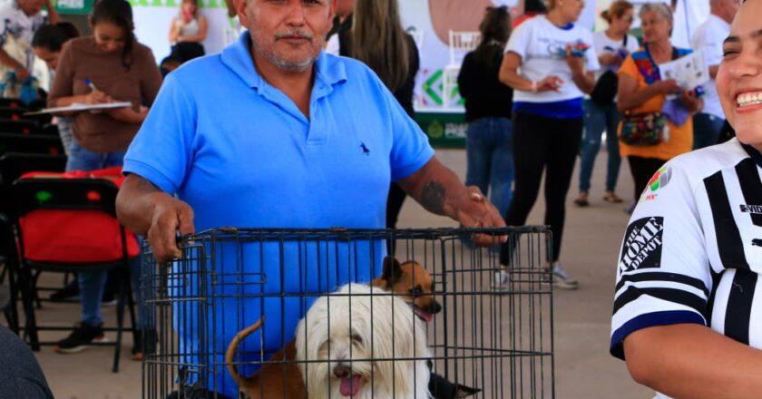 Villa de Pozos inicia semana de vacunación antirrábica para perros y gatos