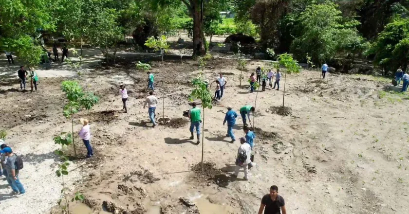 Congreso de SLP aprueba reformas para impulsar reforestación urbana desde el inicio de los gobiernos municipales