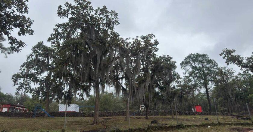 Autoridades y comunidades acuerdan dar seguimiento a la conservación del Parque Nacional El Potosí