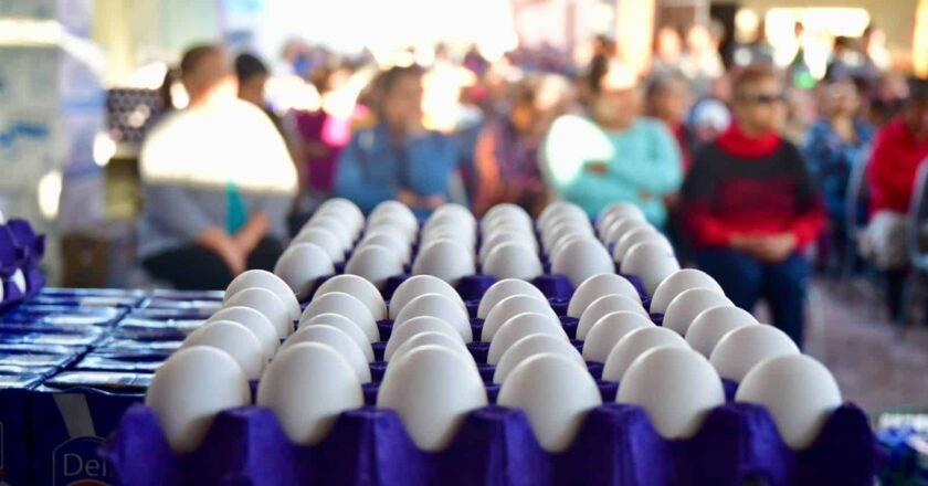 San Luis Potosí ocupa el quinto lugar nacional en producción de huevo